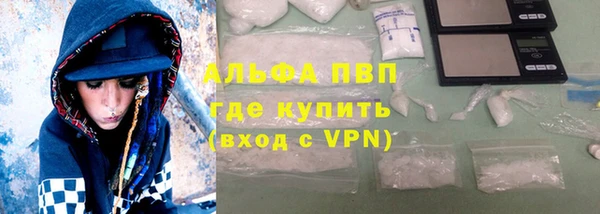 амф Ладушкин