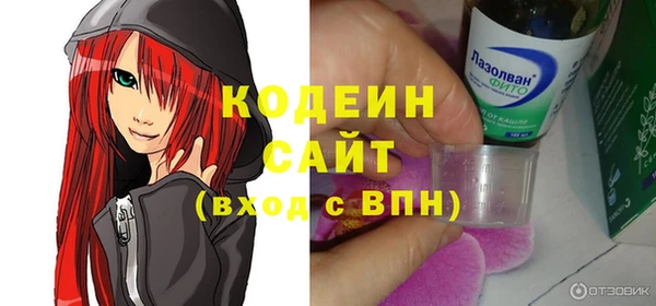 амф Ладушкин