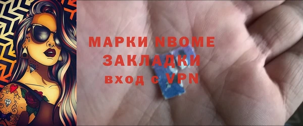 амф Ладушкин
