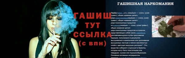 амф Ладушкин