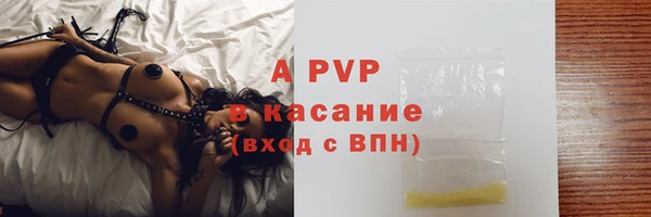 амф Ладушкин