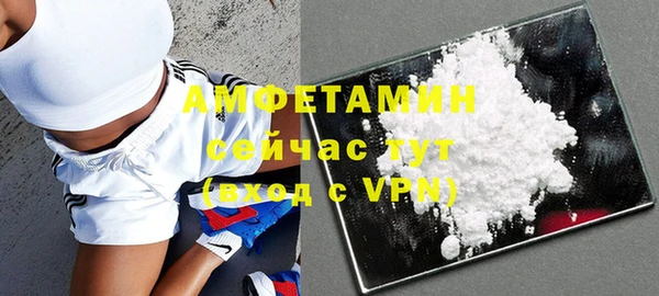 амф Ладушкин