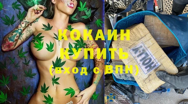 амф Ладушкин