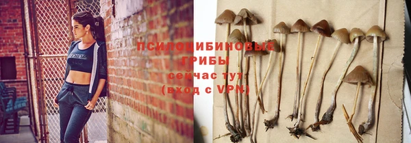 амф Ладушкин