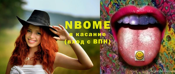 амф Ладушкин