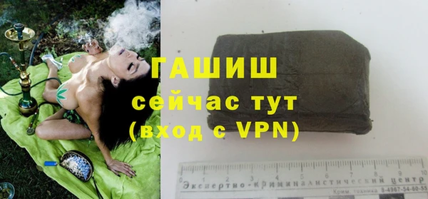 амф Ладушкин