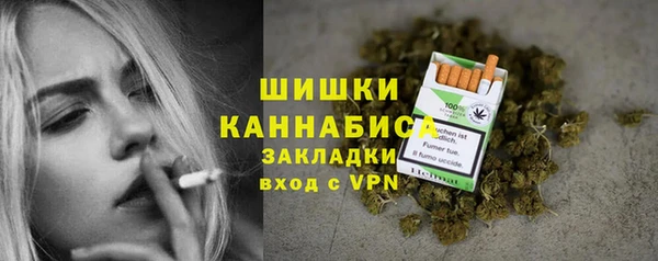 амф Ладушкин