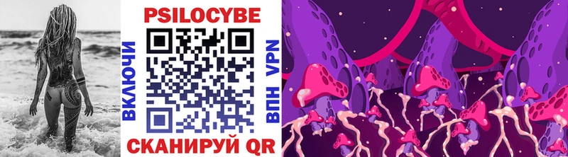 Купить закладки  Лесозаводск  Псилоцибиновые грибы мухоморы 